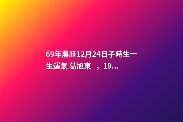 69年農歷12月24日子時生一生運氣 葛旭東，1969年12月24日子時出生幫忙算一下運勢-第1張-觀點-玄機派